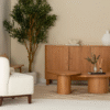 Ritzha Theo Wooden Sideboard | Solid Wooden Sideboard Online