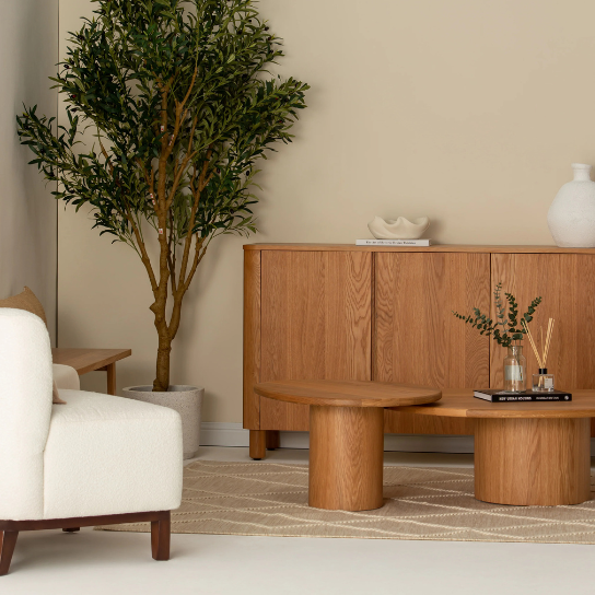 Ritzha Theo Wooden Sideboard | Solid Wooden Sideboard Online