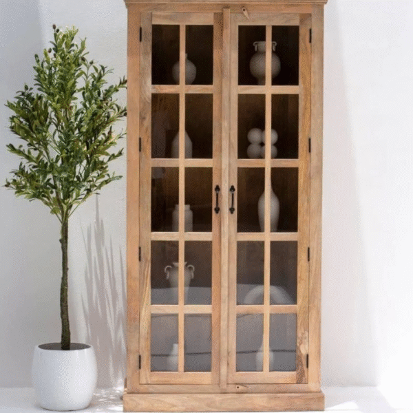 Ritzha Lisette Wooden Display Shelf | Wooden Bookshelf With Glass Natural Finish