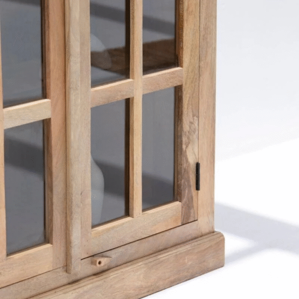Ritzha Lisette Wooden Display Shelf | Wooden Bookshelf With Glass Natural Finish