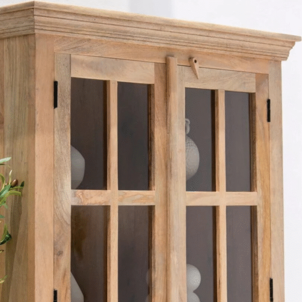 Ritzha Lisette Wooden Display Shelf | Wooden Bookshelf With Glass Natural Finish