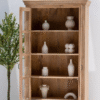 Ritzha Lisette Wooden Display Shelf | Wooden Bookshelf With Glass Natural Finish