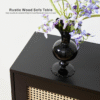 Ritzha Netstar Entryway Table, Sofa Table, Console Tables for Entryway