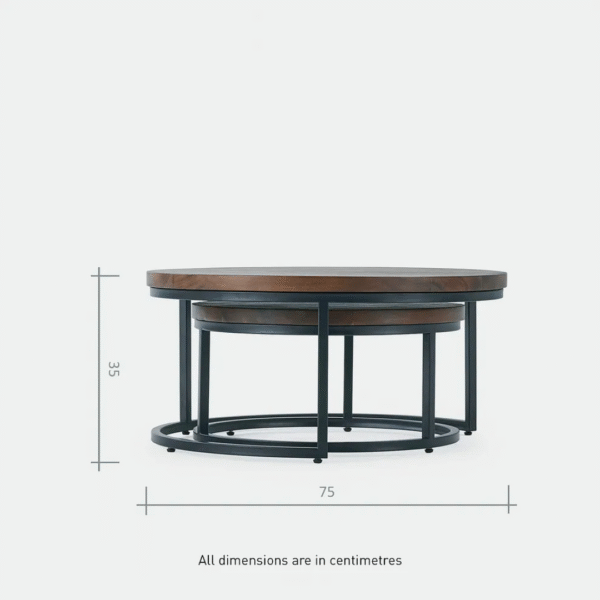Ritzha Detroit Oak Wooden Coffee Table Set of 2 With Metal legs