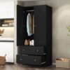 Ritzha Black 2 Door Wardrobe