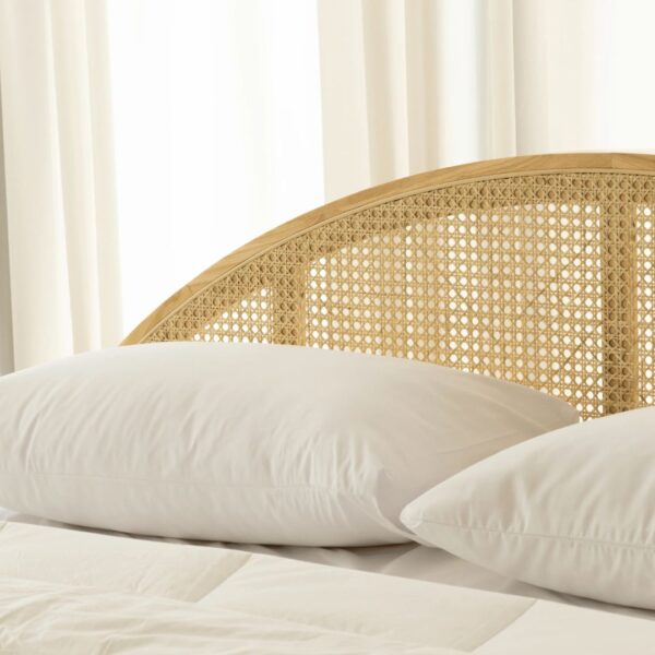 Ritzha Japanese Rattan Arch Wooden Bed