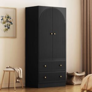 Ritzha Black 2 Door Wardrobe